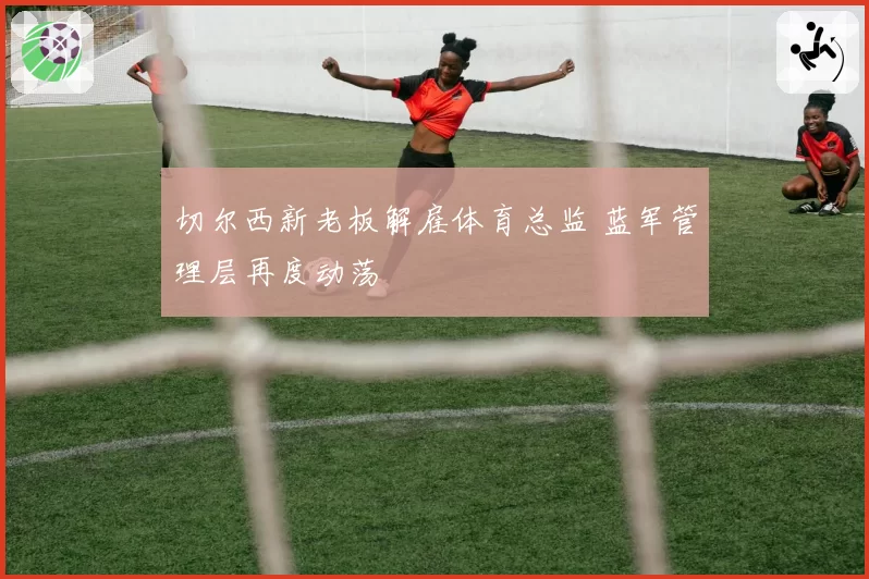 切尔西新老板解雇体育总监 蓝军管理层再度动荡