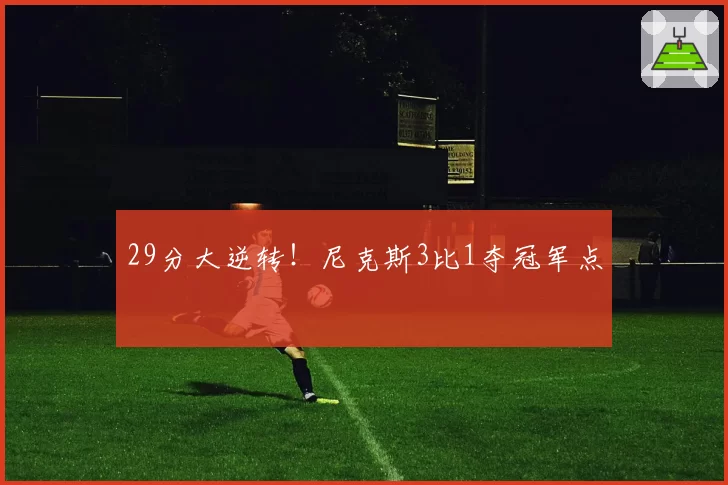 29分大逆转!尼克斯3比1夺冠军点