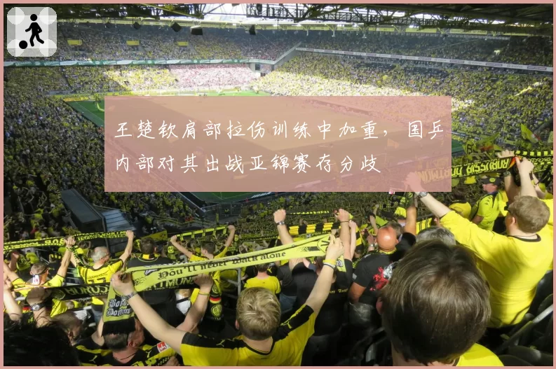 王楚钦肩部拉伤训练中加重,国乒内部对其出战亚锦赛存分歧